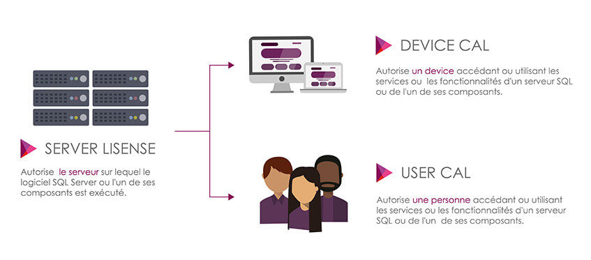 licences Base de données SQL SERVER
