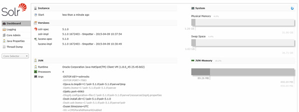 Apache Solr Interface