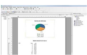Crystal Report / Crystal Reports