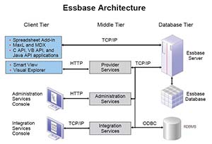 oracle hyperion essbase