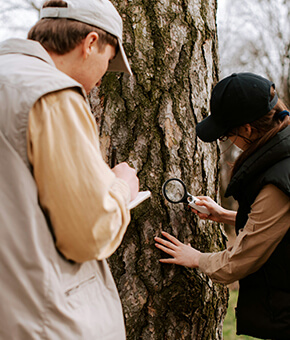 Défricher la data carbone