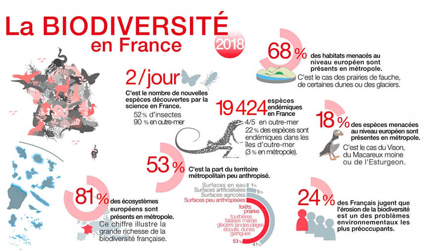 La biodiversité, un enjeu sous-estimé par les entreprises ?
