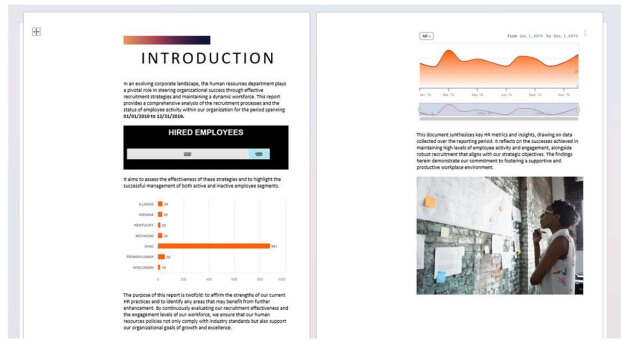 Need4Viz | Les nouveautés de la version 2024.2.0