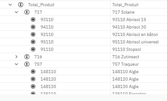 L'accès au détail, ou Drill Through dans Planning Analytics