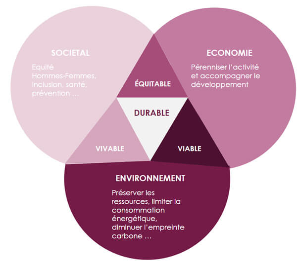 RSE versus ESG, same same but different !