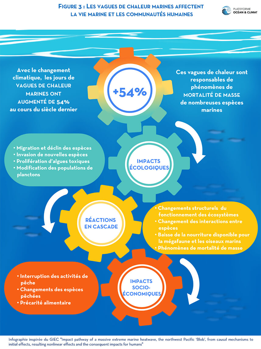 Conférence des Nations Unies sur l'océan | Pourquoi les océans doivent intéresser toutes les entreprises