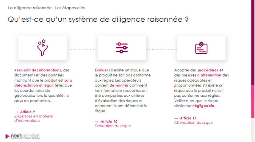 Déforestation importée : les entreprises face au compte à rebours de l’EUDR
