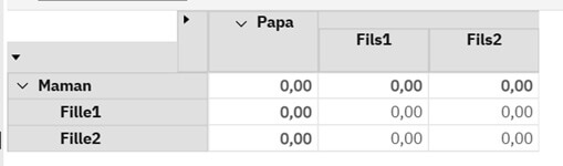 Planning Analytics – Saisie aux niveaux consolidés
