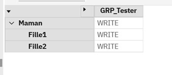 Planning Analytics – Saisie aux niveaux consolidés