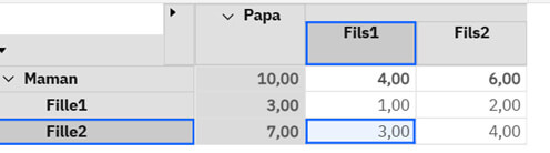 Planning Analytics – Saisie aux niveaux consolidés