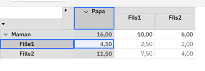 Planning Analytics – Saisie aux niveaux consolidés
