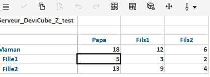 Planning Analytics – Saisie aux niveaux consolidés