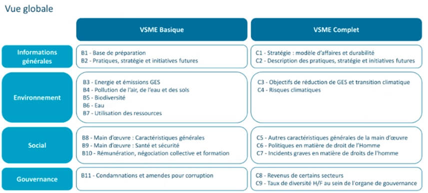Reporting VSME et CSRD : quelles informations renseigner dans votre reporting simplifié ?