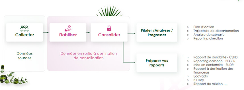 Reporting VSME et CSRD : quelles informations renseigner dans votre reporting simplifié ?