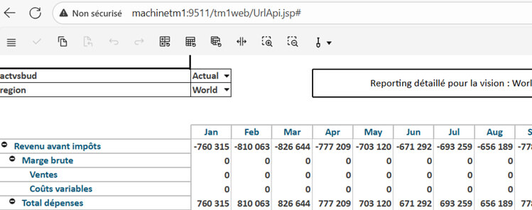 Planning Analytics - Les API URL de Tm1Web