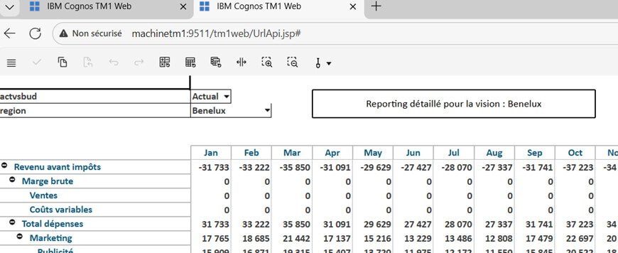 Planning Analytics - Les API URL de Tm1Web