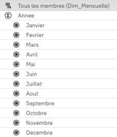 Planning Analytics - La gestion des workflows au sein du Workspace