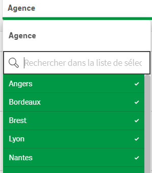 Qlik On Premise November 2023 : Les principales nouveautés